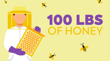 Honey Feature Thumbnail